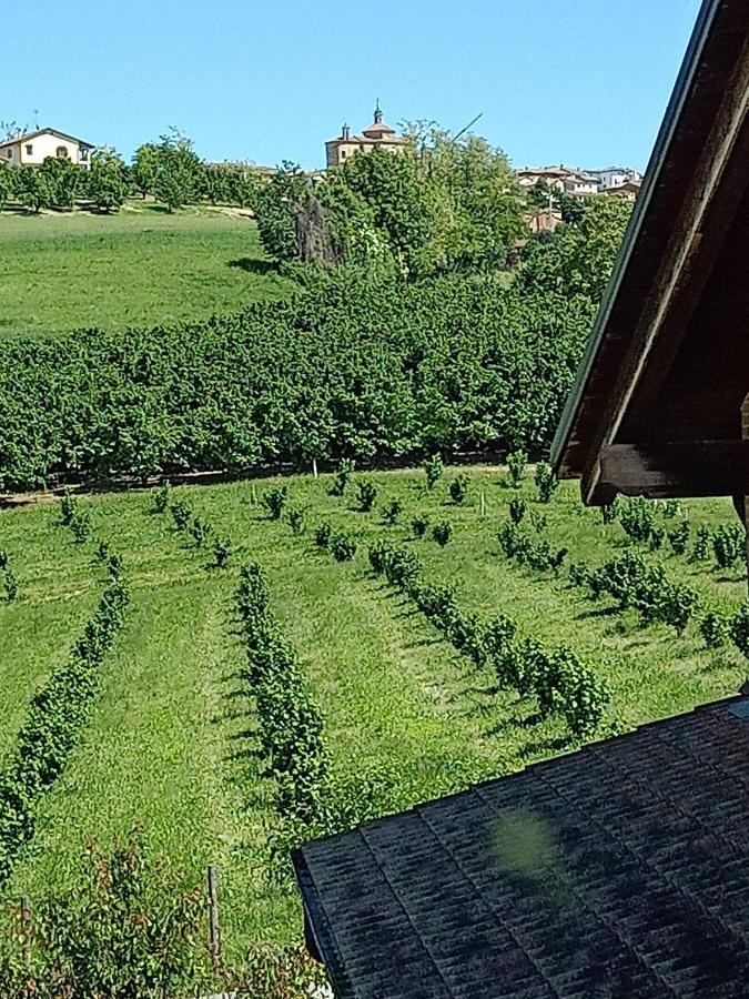 Апартаменти Vite Dipinte 1 Bilocale In Langa Новело Екстер'єр фото